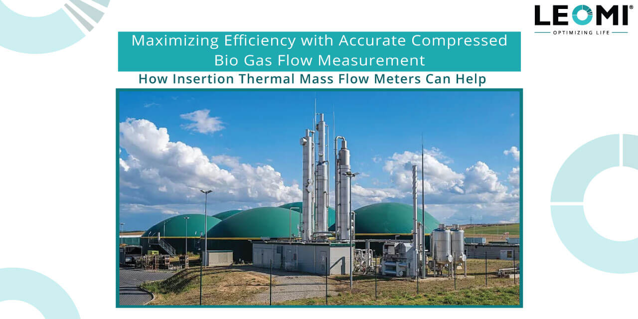 Insertion thermal mass flowmeter